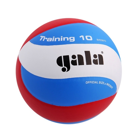 Волейбольный мяч Gala Training 10